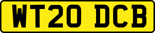 WT20DCB