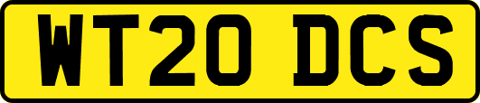 WT20DCS