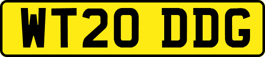 WT20DDG