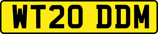 WT20DDM