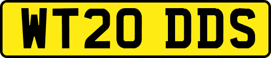 WT20DDS