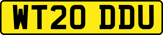 WT20DDU