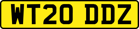 WT20DDZ