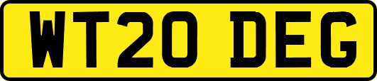 WT20DEG