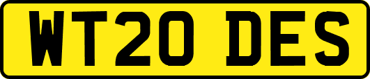 WT20DES