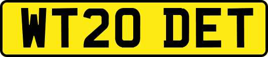 WT20DET