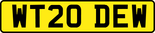 WT20DEW