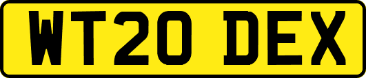 WT20DEX