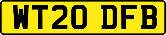 WT20DFB