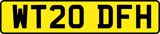 WT20DFH