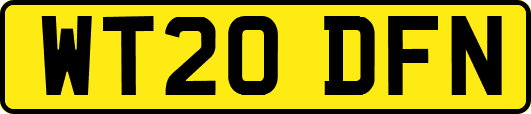 WT20DFN
