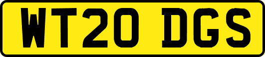 WT20DGS