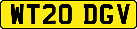 WT20DGV