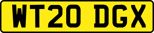 WT20DGX