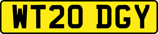 WT20DGY