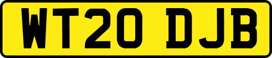 WT20DJB