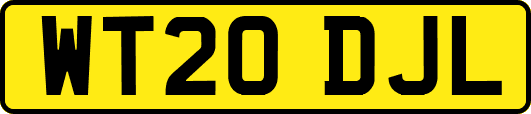 WT20DJL