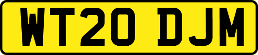 WT20DJM