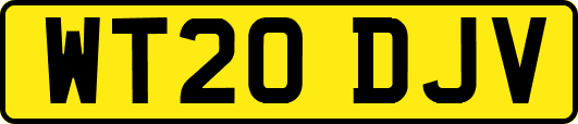 WT20DJV