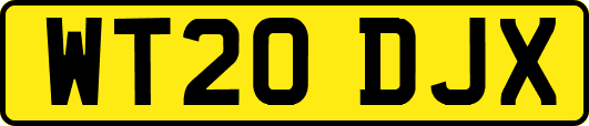 WT20DJX