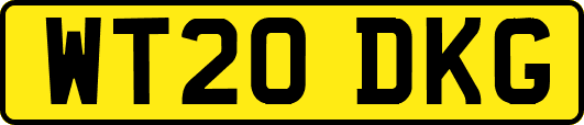 WT20DKG