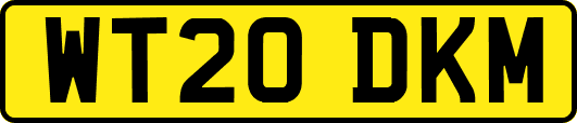 WT20DKM