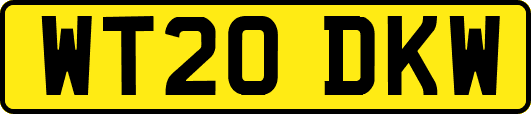 WT20DKW