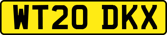 WT20DKX