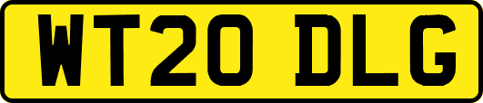 WT20DLG