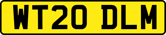 WT20DLM