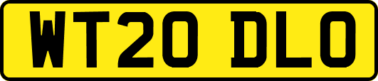 WT20DLO