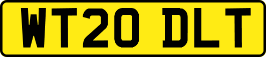 WT20DLT