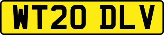 WT20DLV