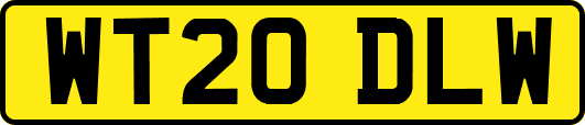 WT20DLW