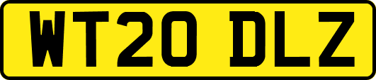 WT20DLZ
