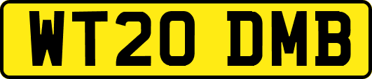 WT20DMB