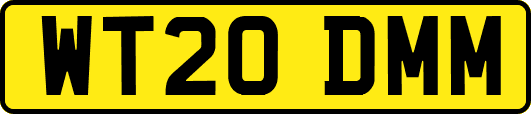 WT20DMM