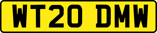 WT20DMW