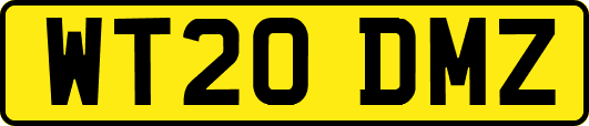 WT20DMZ