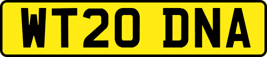 WT20DNA