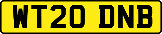 WT20DNB