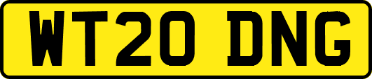 WT20DNG