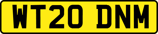 WT20DNM