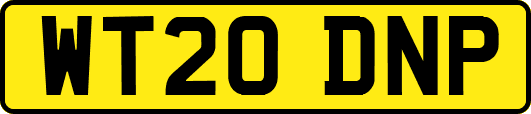 WT20DNP