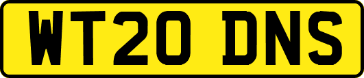WT20DNS