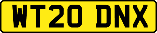 WT20DNX