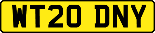 WT20DNY