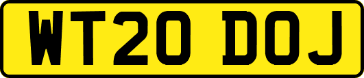 WT20DOJ