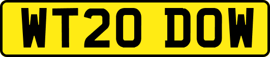WT20DOW