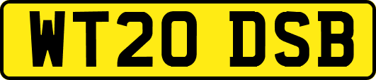 WT20DSB
